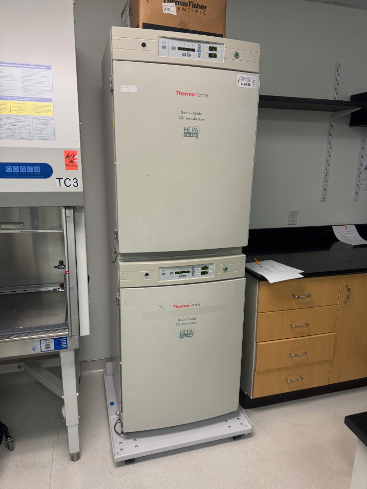 Image of Thermo Forma Steri-Cult Double Stack CO2 Incubator
